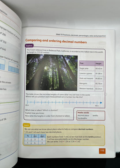 HODDER EDUCATION CAMBRIDGE PRIMARY MATHEMATICS 6 LEARNERS BOOK 2ND EDITION