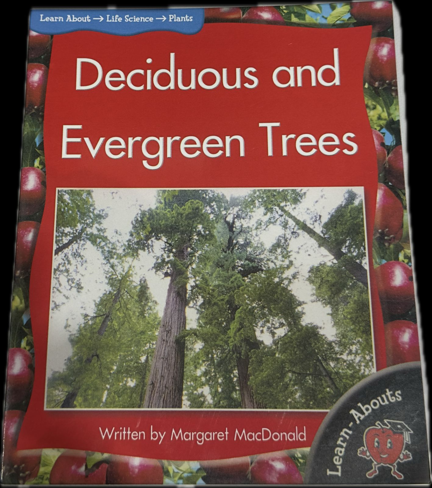 LEARN ABOUT LIFE SCIENCE PLANTS ( DECIDUOUS AND EVERGREEN TREES )