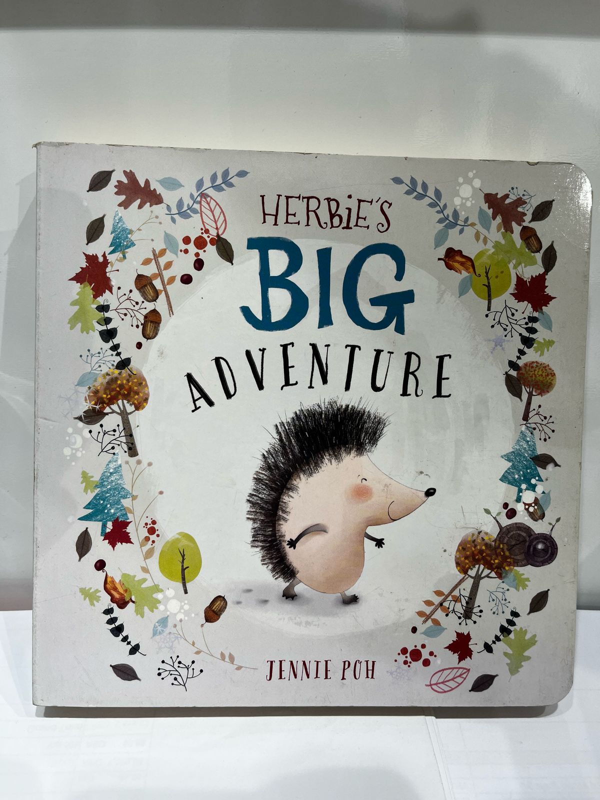 HERBIES BIG ADVENTURE