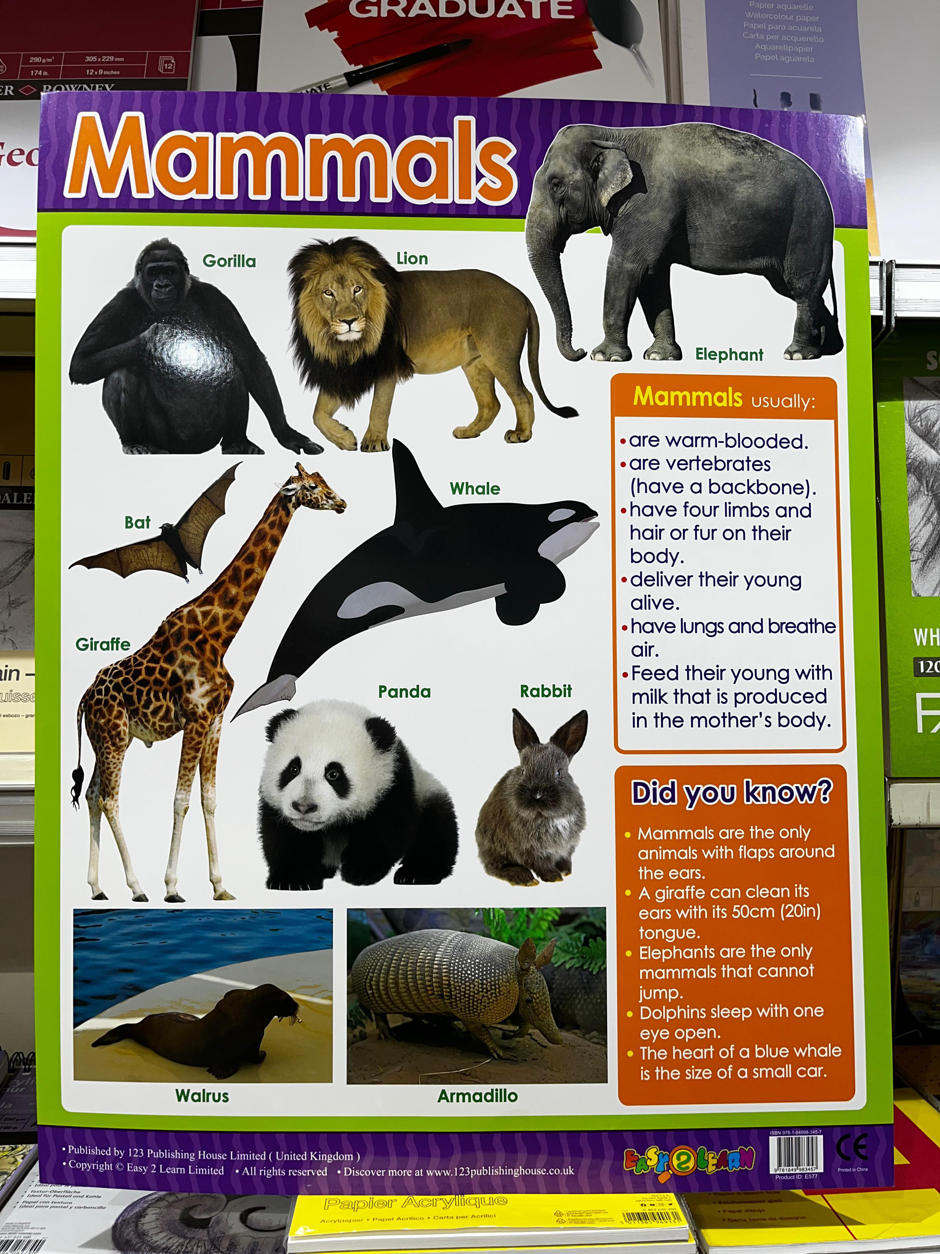 ENGLISH CHART BOARD - MAMMALS