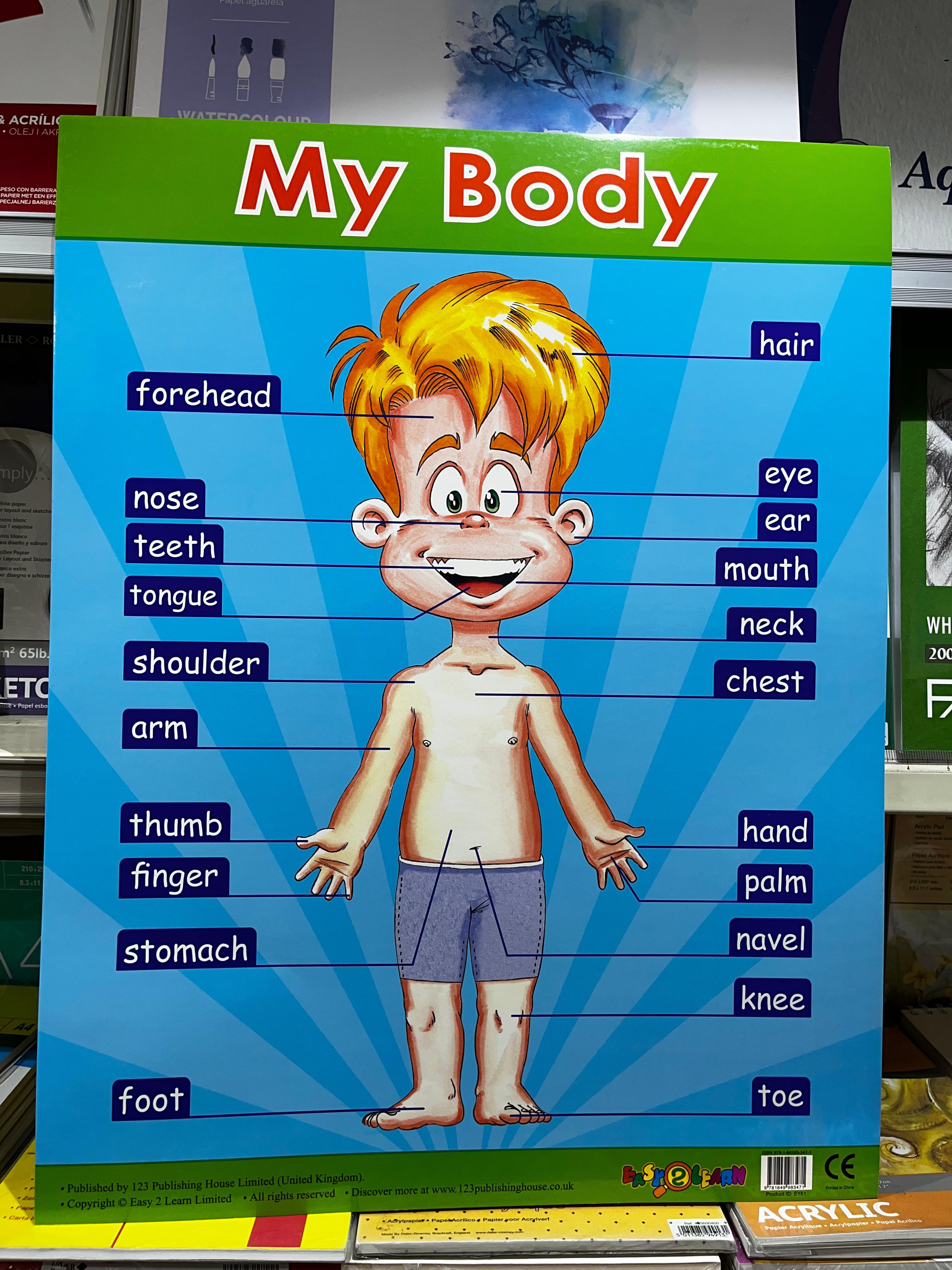 ENGLISH CHART BOARD - MY BODY ID (E151)