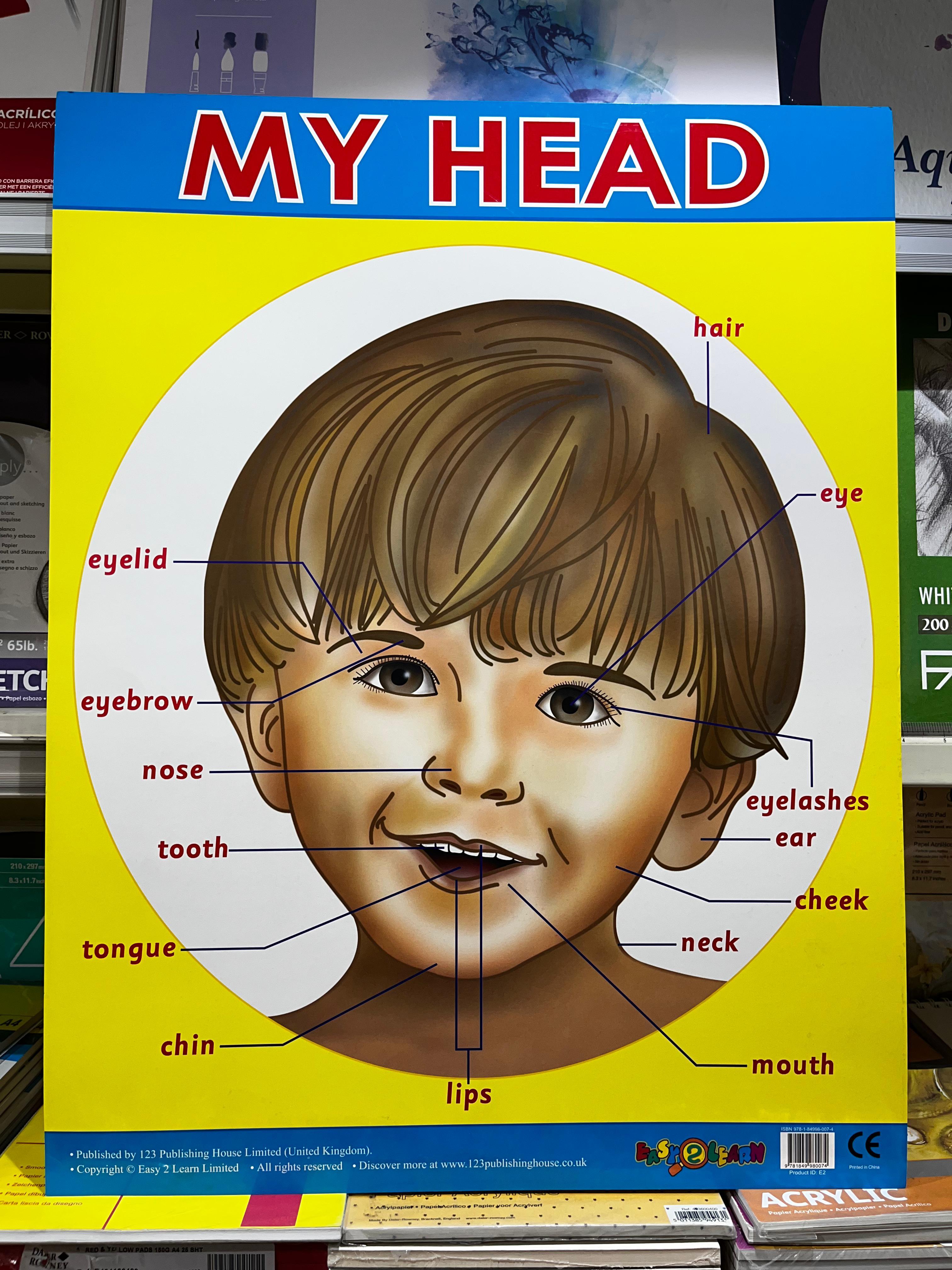 ENGLISH CHART BOARD -  PARTS OF HEAD ID (E2)