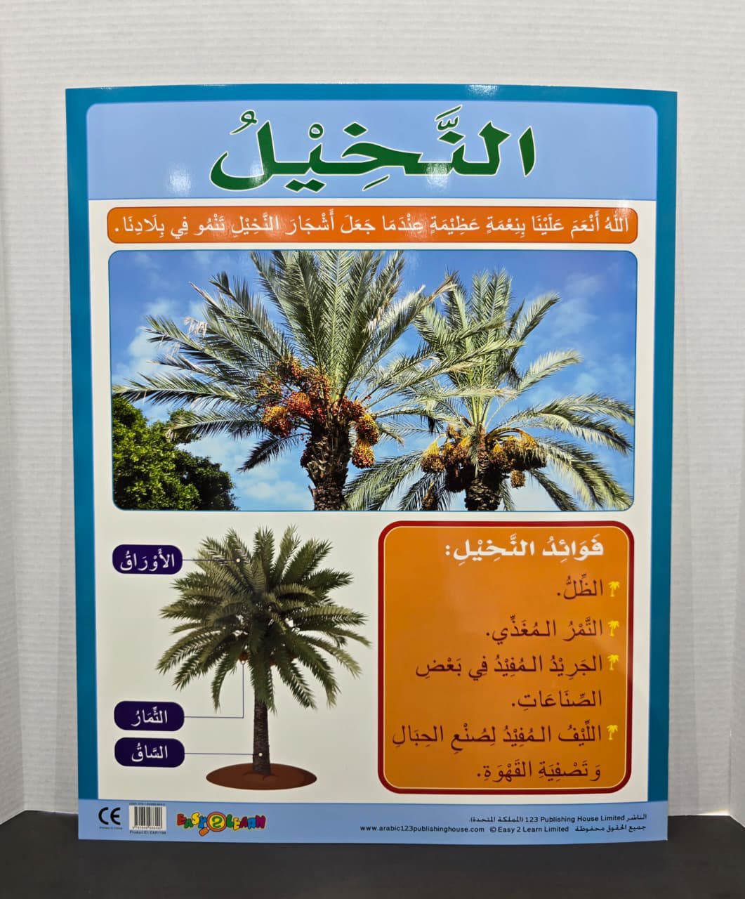 ARABIC CHART BOARD - (ID# EAR 1198 )