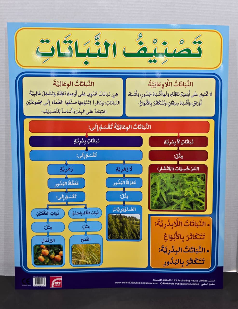ARABIC CHART BOARD ( ID# RAR 184 )