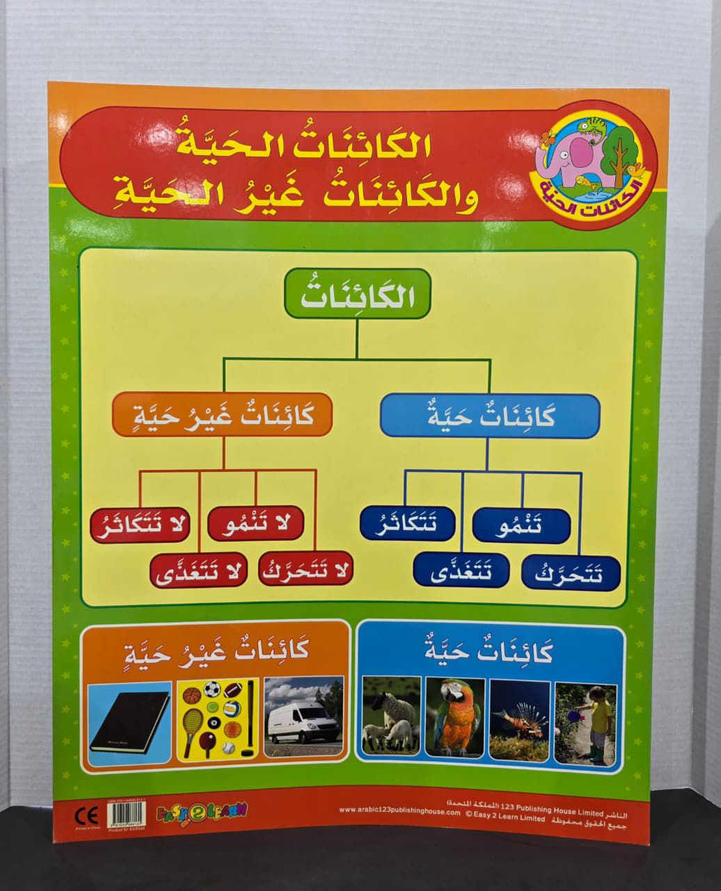 ARABIC CHART BOARD  ( ID# EAR 540 )