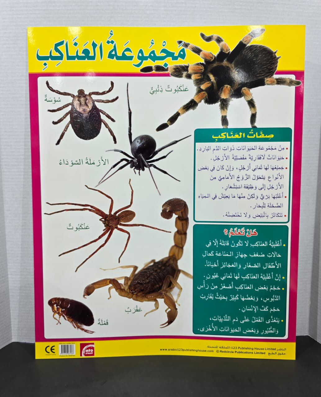 ARABIC CHART BOARD  ( ID# RAR 104 )