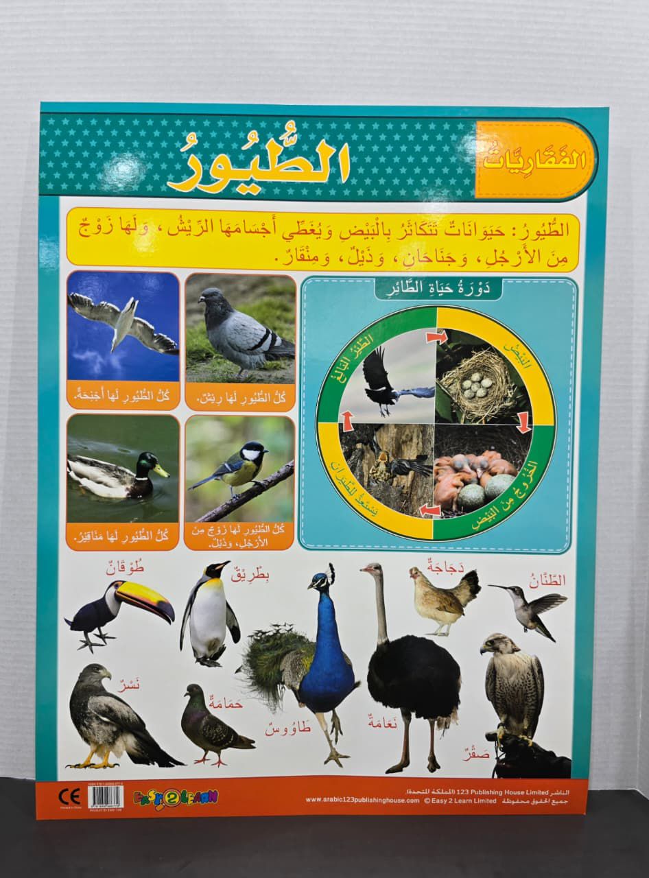 ARABIC CHART BOARD  ID# EAR 1148