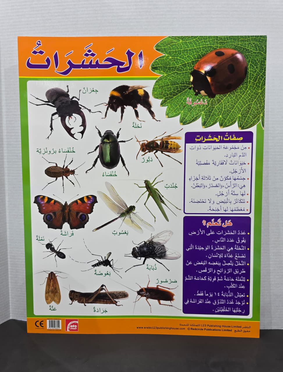 ARABIC CHART BOARD  ( ID# RAR 105 )