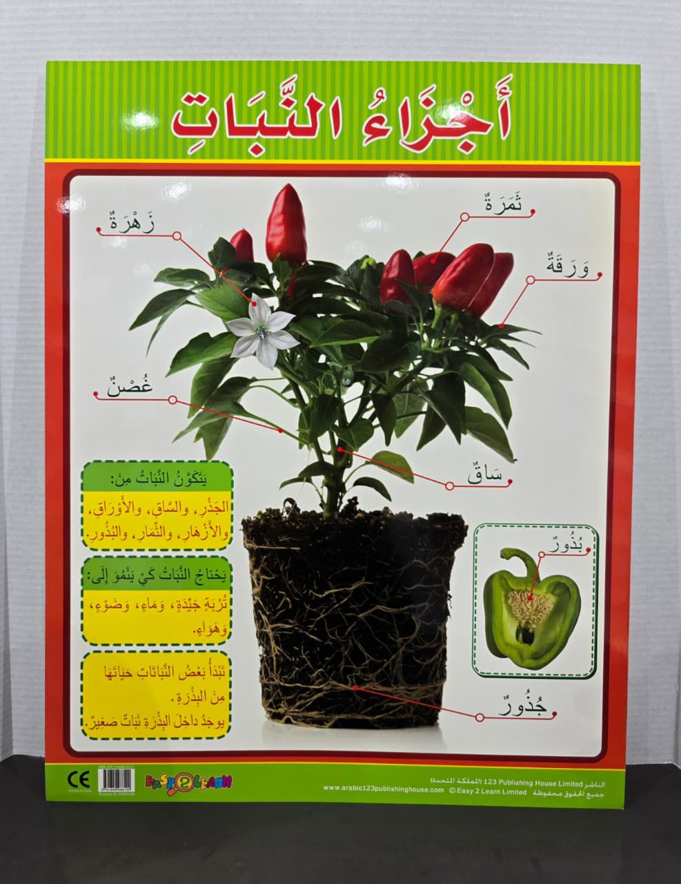 ARABIC CHART BOARD  ( ID# EAR 1129 )