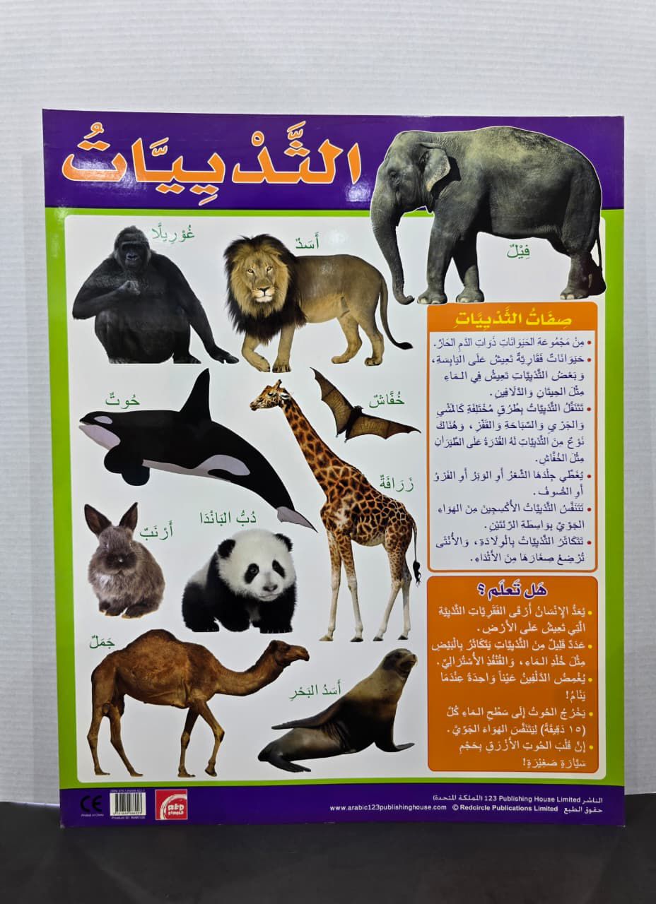 ARABIC CHART BOARD  ( ID# RAR 106 )
