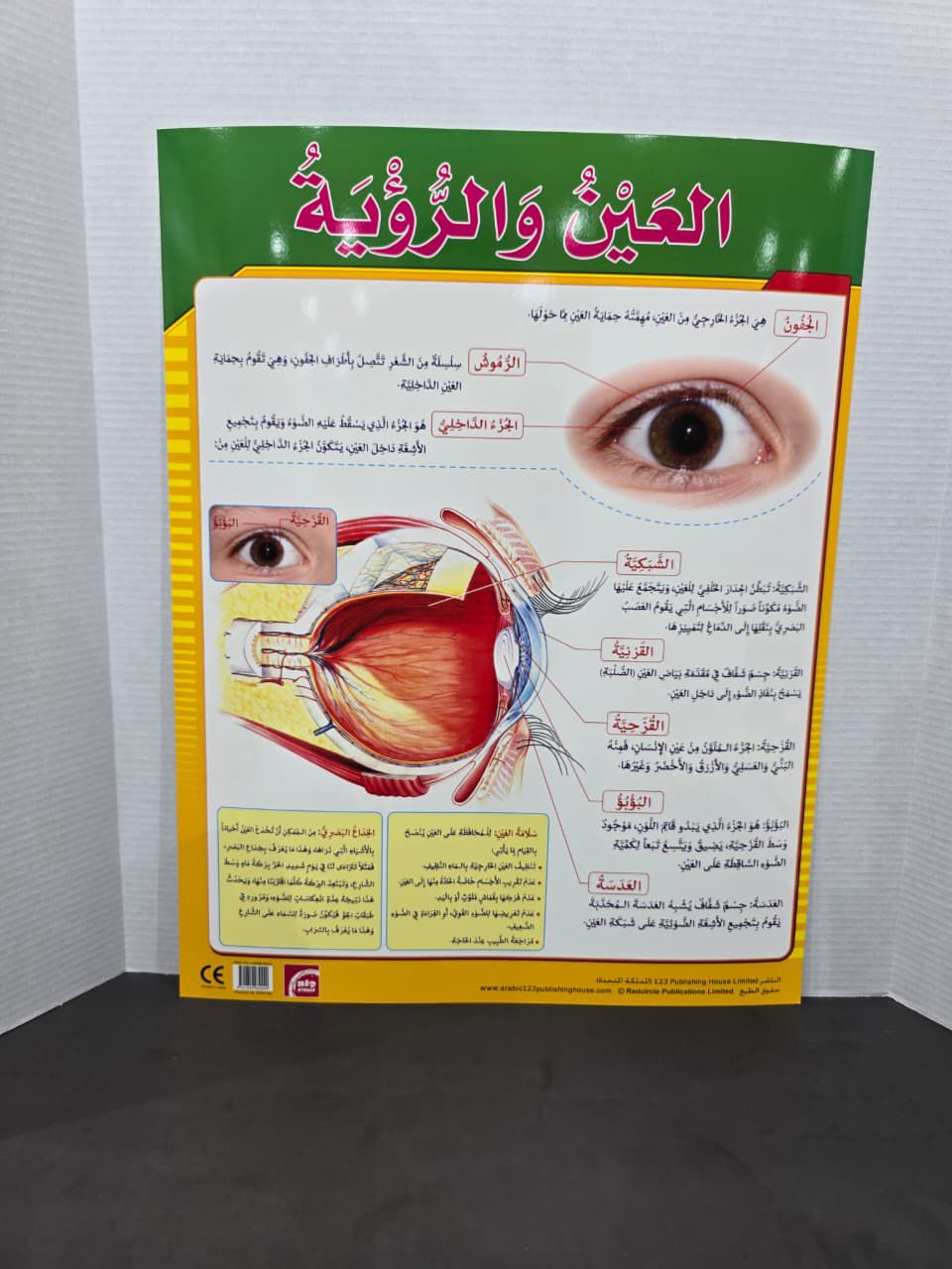 ARABIC CHART BOARD - ID# RAR160