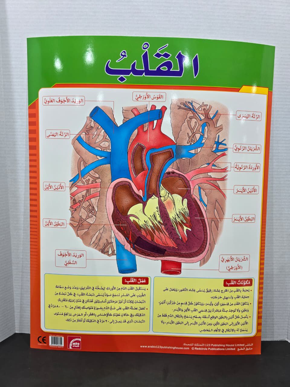 ARABIC CHART BOARD - ID EAR 371