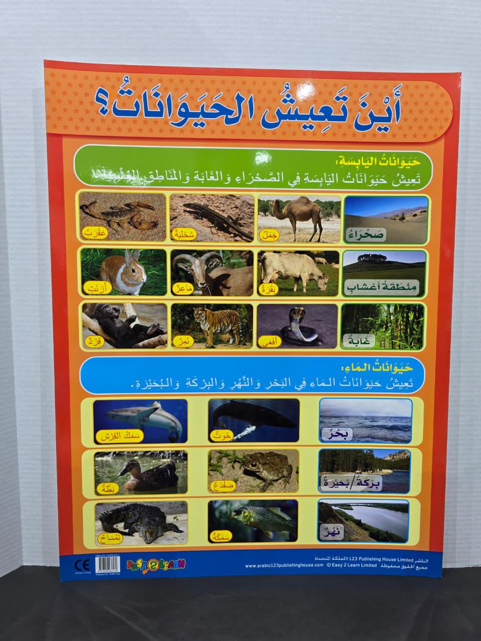 ARABIC CHART BOARD - ID# EAR 1142