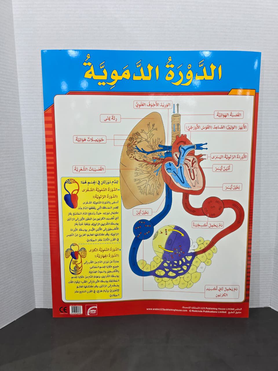 ARABIC CHART BOARD - ID# RAR170