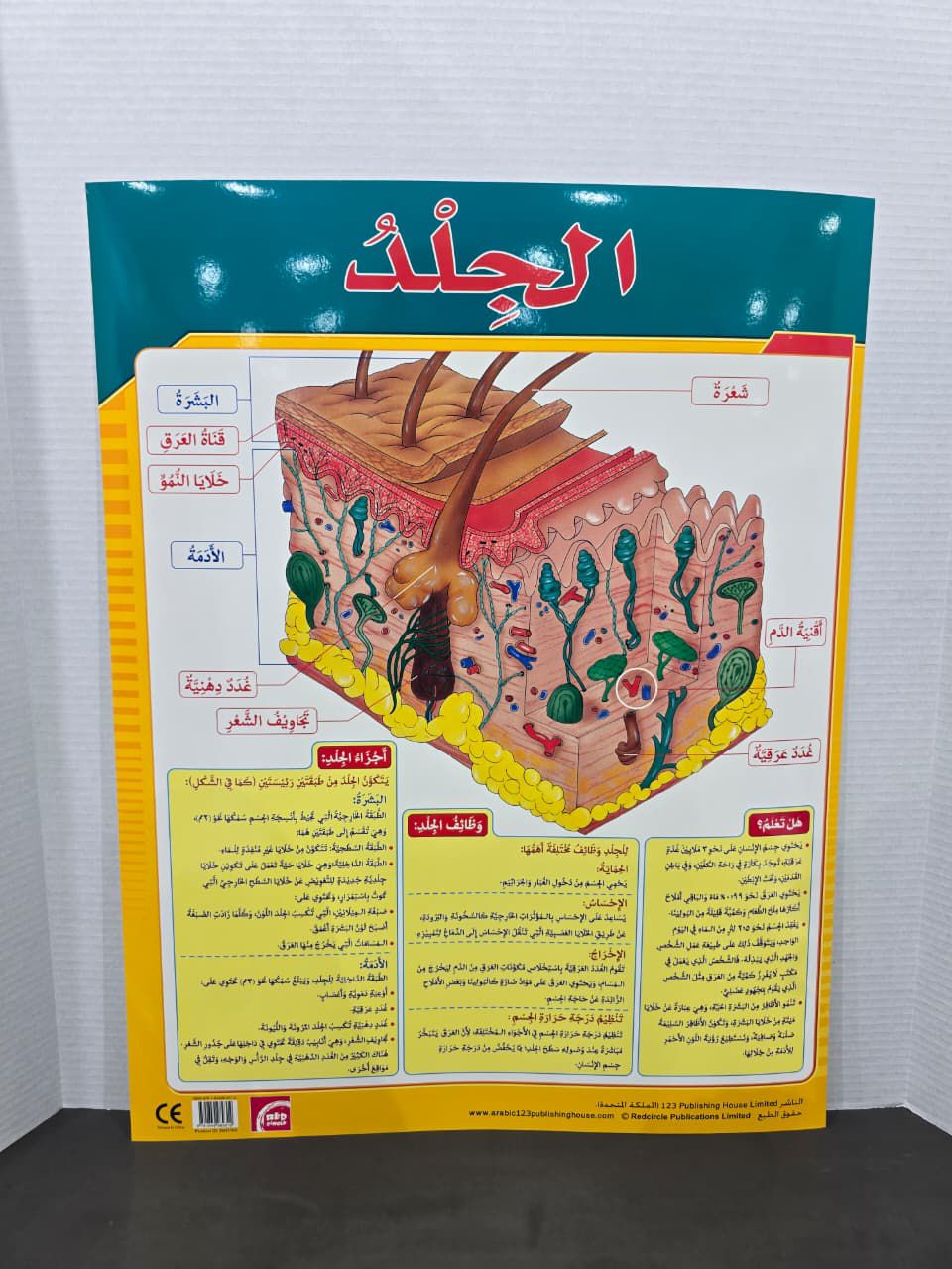 ARABIC CHART BOARD - ID# RAR 169