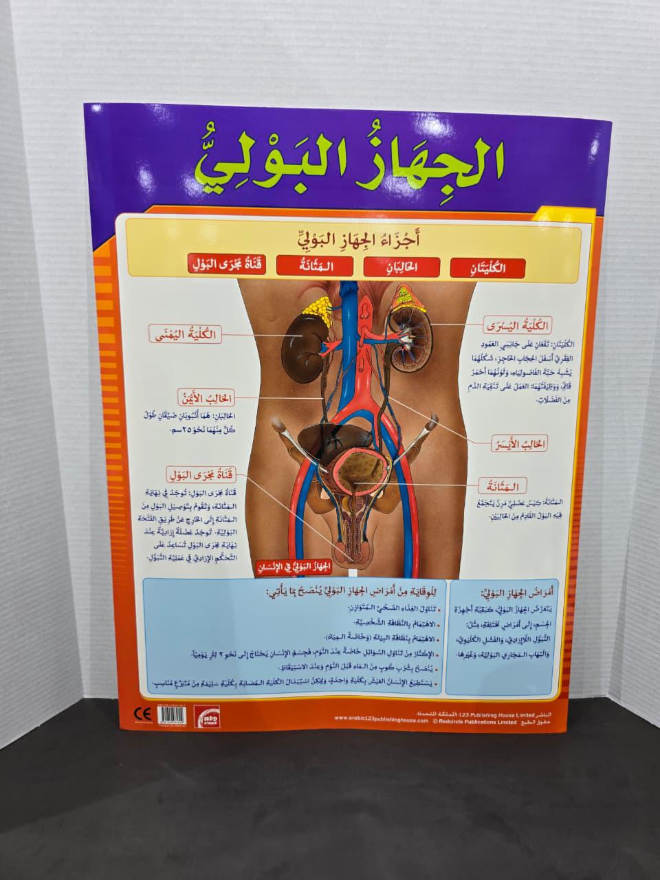 ARABIC CHART BOARD -ID# RAR 166