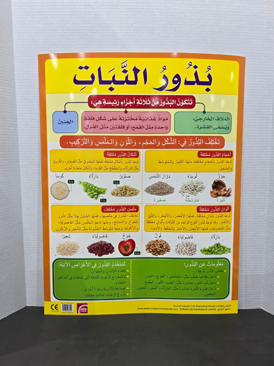 ARABIC CHART BOARD -ID# RAR110