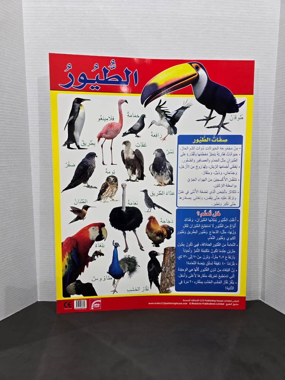 ARABIC CHART BOARD ID# RAR102