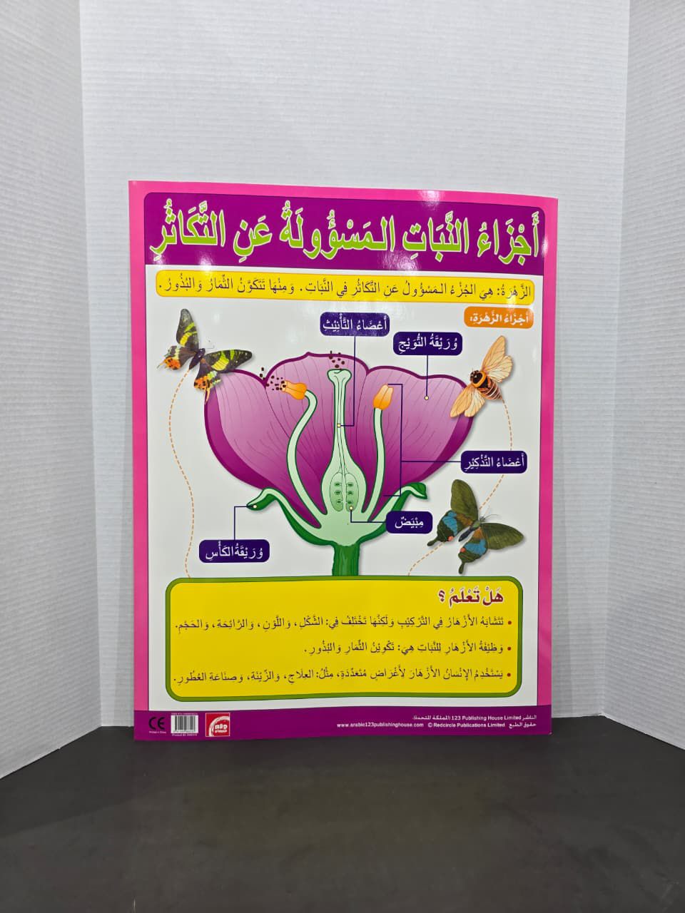 ARABIC CHART BOARD   ID# RAR111