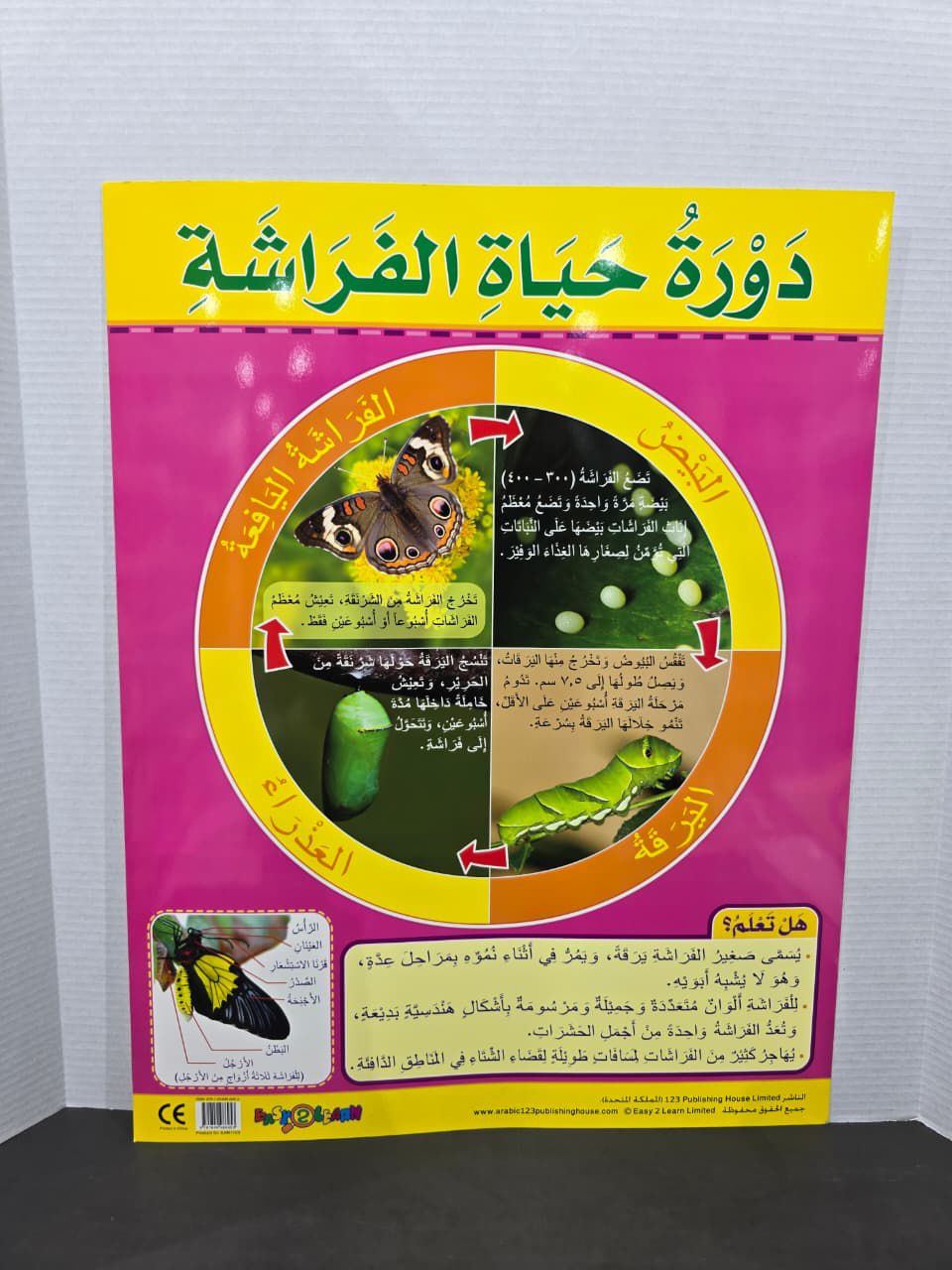 ARABIC CHART BOARD - ID# EAR 1153