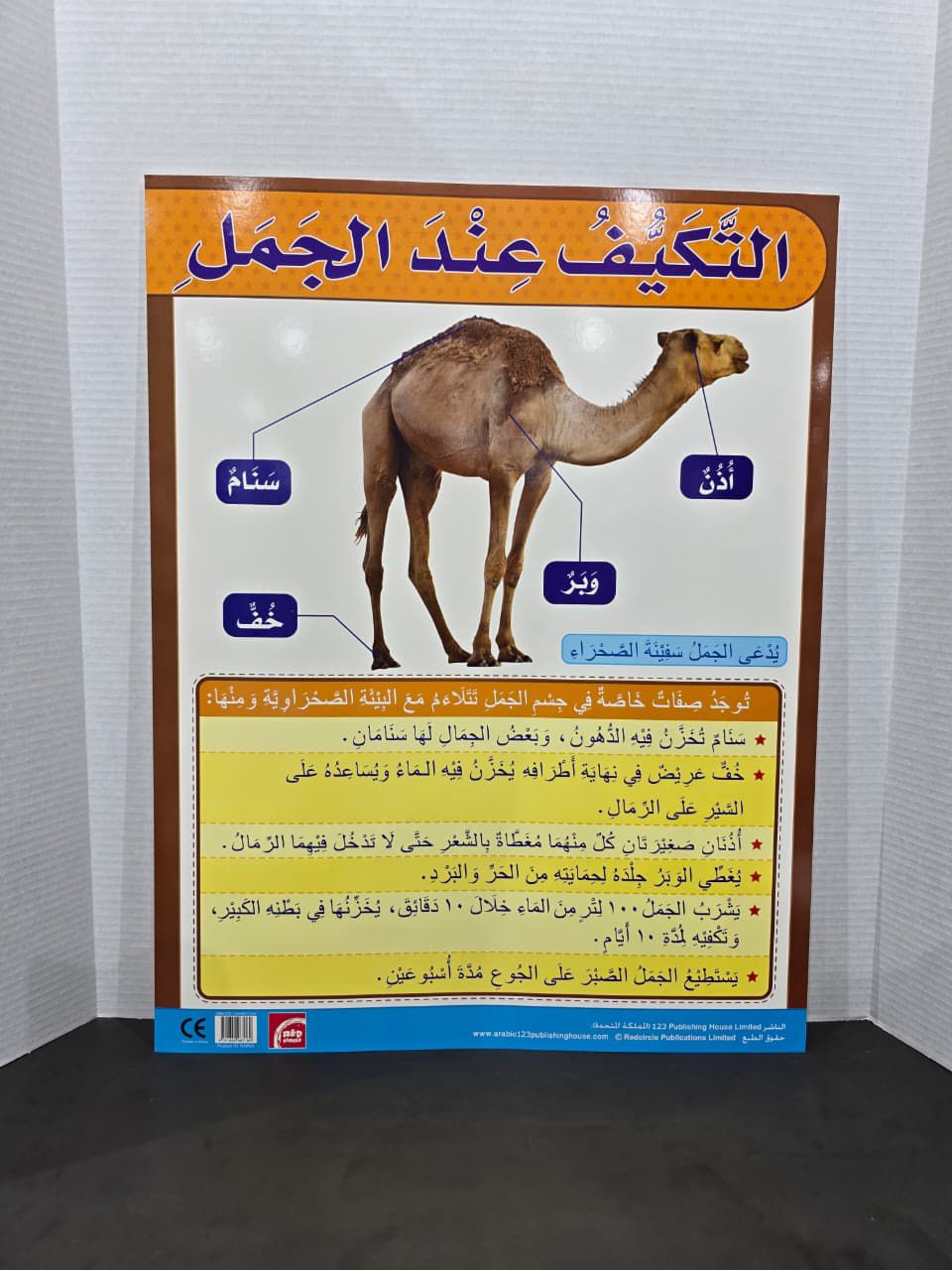ARABIC CHART BOARD - ID# RAR93