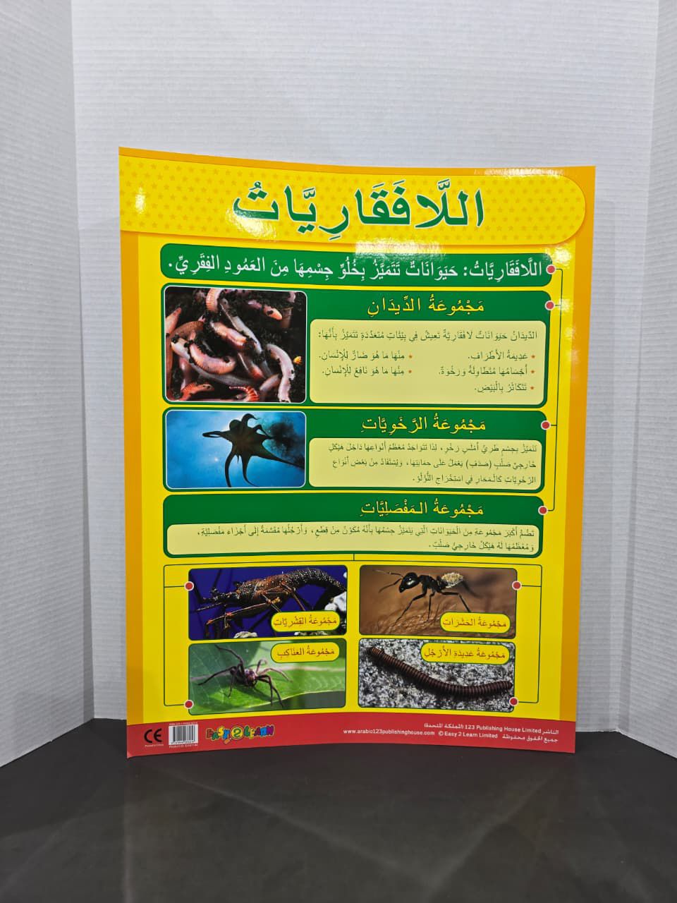ARABIC CHART BOARD - ID# EAR1144