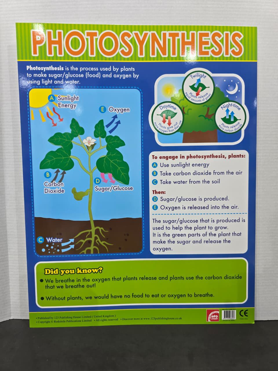 ENGLISH CHART BOARD  - ID R554