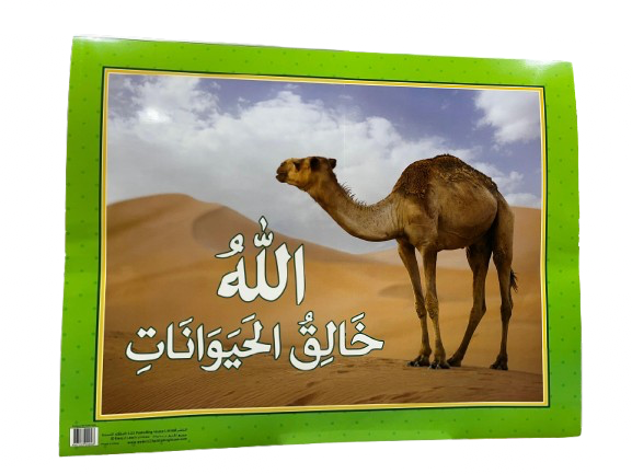 اللهُ خالقُ الحيوانات