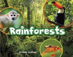 RAINFOREST - ENGLISH STORY BOOK