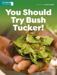 SNAPPY SOUND - YOU SHOULD TRY BUSH TUCKER