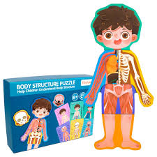 EDUCATIONAL TOYS BOY BODY STRUCTURE PUZZLE