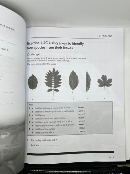 CAMBRIDGE LOWER SECONDARY SCIENCE WORKBOOK 7  SECOND EDITION