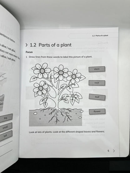 NEW CAMBRIDGE PRIMARY SCIENCE 2E DIGITAL ACCESS WORKBOOK 1